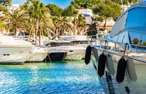 selection of motor yachts in sunny marina