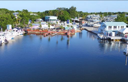 Overview of Mangrove Marina – FL Keys, boats at moorings, surrounded by foliage and marina facilities