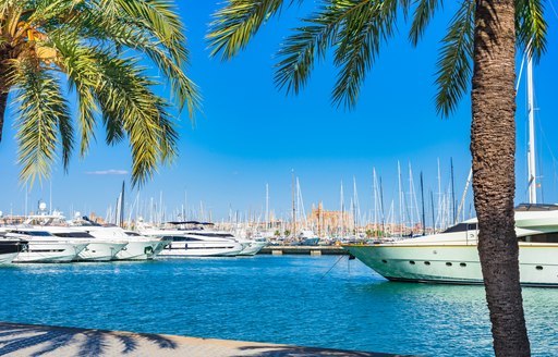 Port of Palma, Mallorca luxury yachts