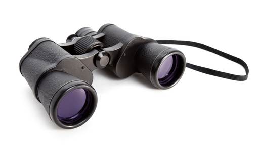 Back to Basic Yacht Essentials - a good pair of binoculars