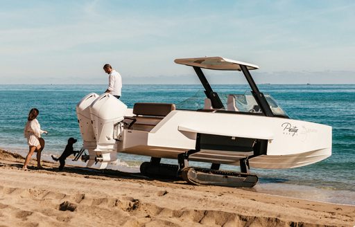 Man and woman with dog leaving amphibious tender on beach