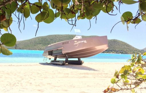 Amphibious tender viewed through foliage on beach with clear sky, hills and serene water behind