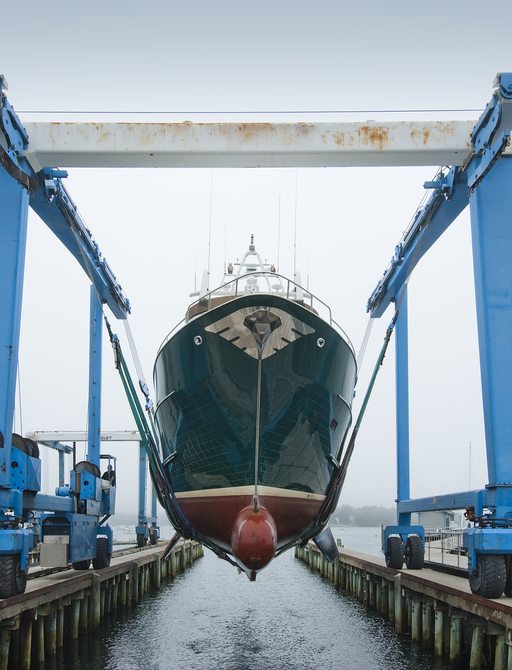 Boat lift facilities within a marina