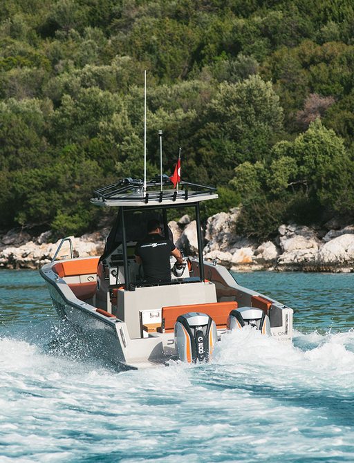 Tender boat viewed from behind with trees and rocky coast in background