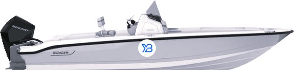 Boston Whaler 250 Dauntless 