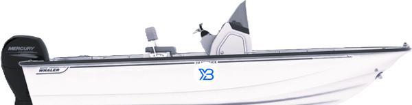 Boston Whaler 210 Montauk 
