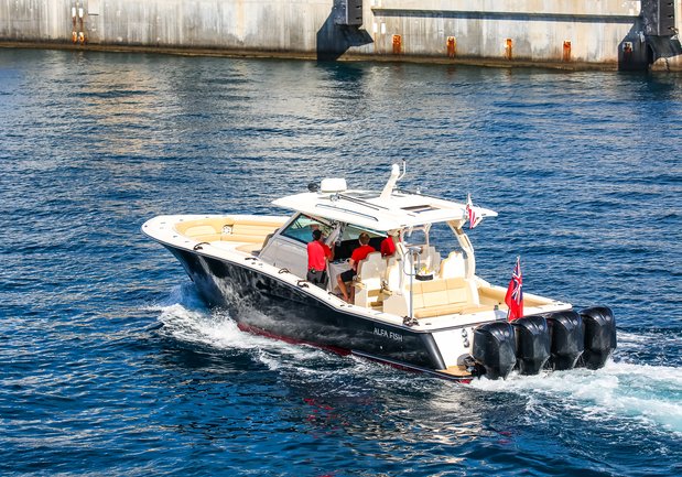 Tender for Alfa Nero