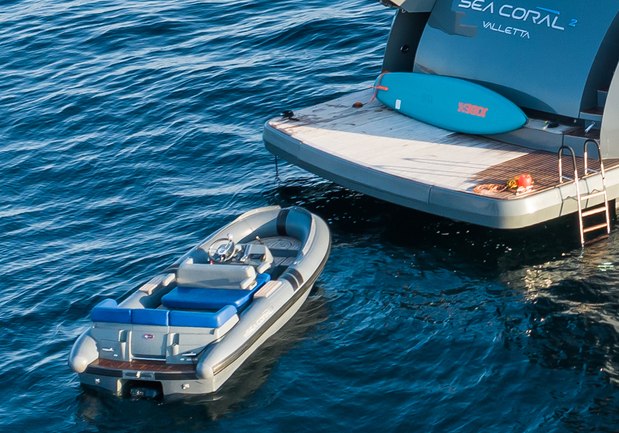 Tender for Sea Coral II
