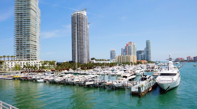 Miami International Boat Show 2026
                                                                