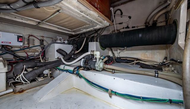 VET BILLZ yacht for sale 34