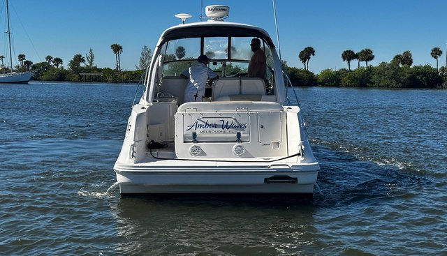 Amber Waves yacht for sale 7