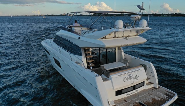 OLLIE-GATOR yacht for sale 4
