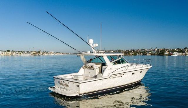 Bluefin yacht for sale 12