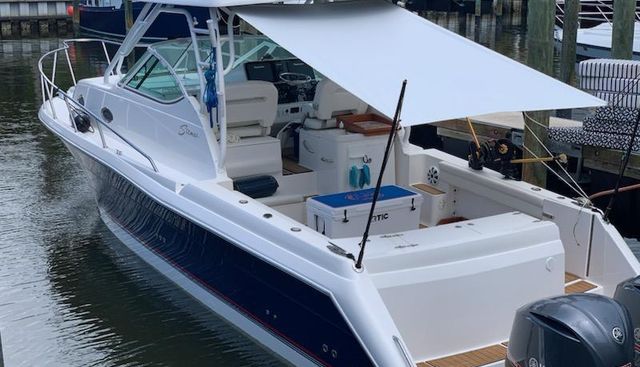 BOATANICALS yacht for sale 9