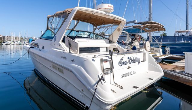 Sea Oddity yacht for sale 7