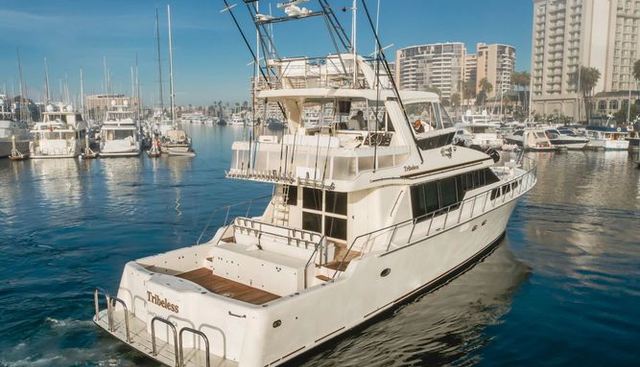 Tribeless yacht for sale 219
