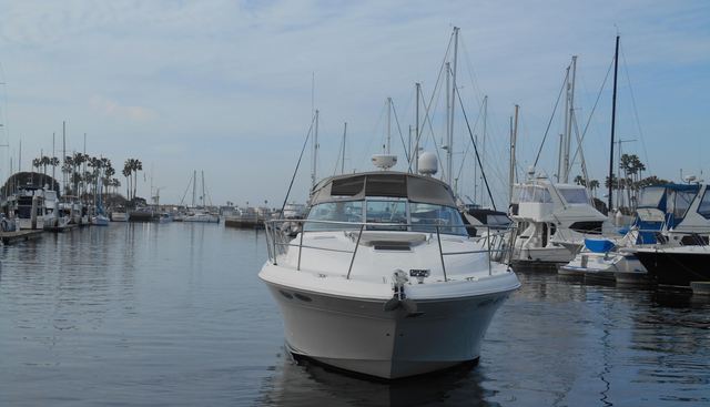 Cygnus yacht for sale 10