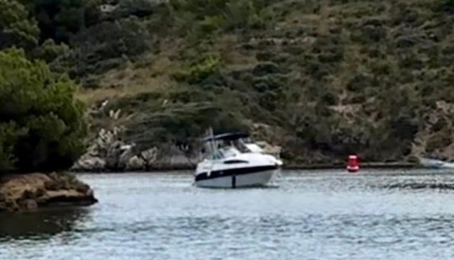 Pingu yacht for sale 4