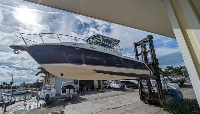 BOATANICALS yacht for sale 7