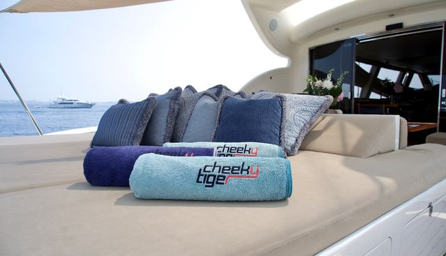 CHEEKY TIGER yacht for sale 42