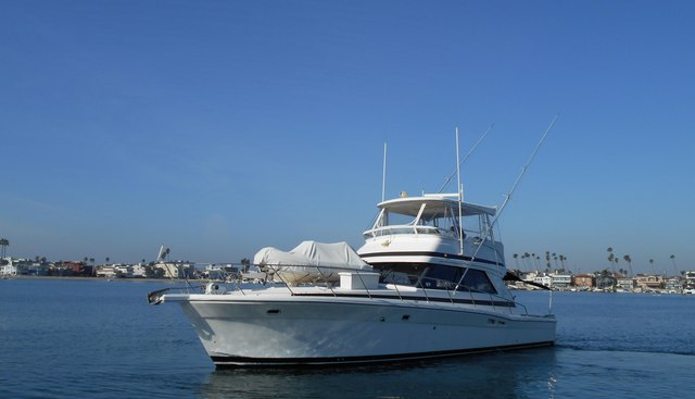 Yacht Z yacht for sale 9