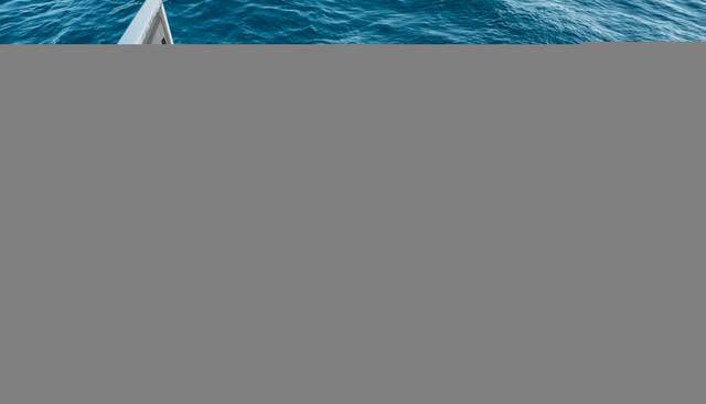 Robin's Nest yacht for sale 214