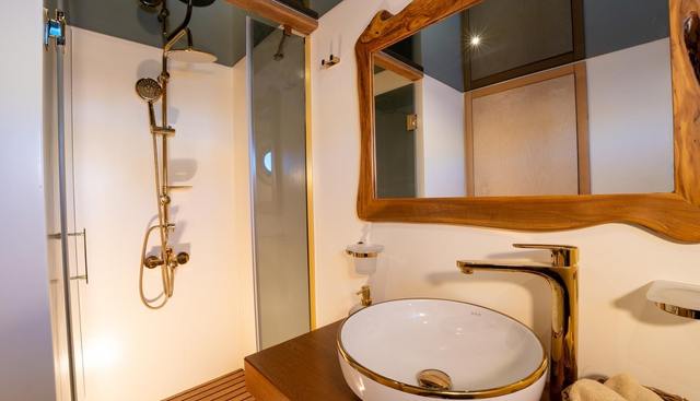 TROYWIZARD yacht for sale 25
