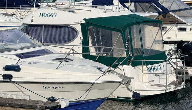 Moggy yacht for sale 20