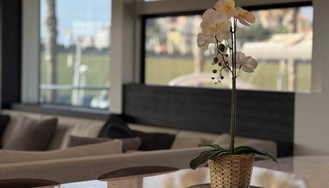 MAORIA yacht for sale 25