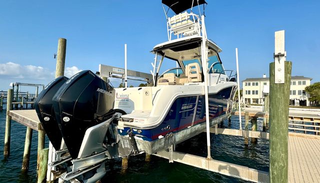 Whistle yacht for sale 5