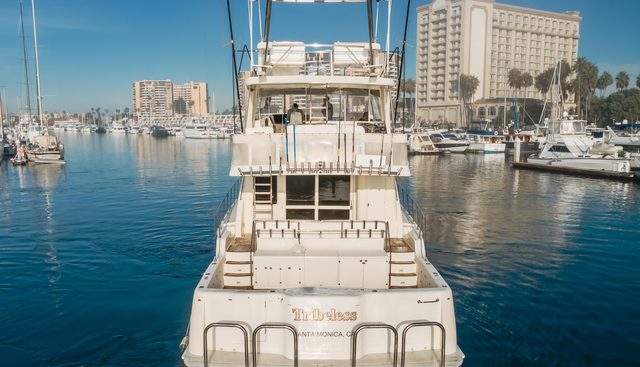 Tribeless yacht for sale 12