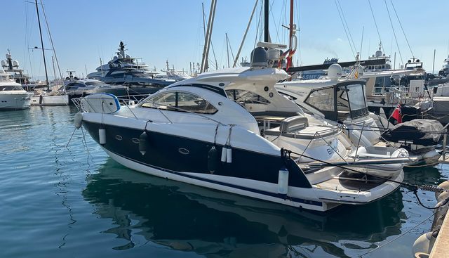 BIRDY 6 yacht for sale 4