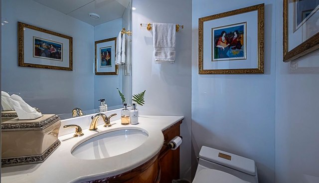 SHALIMAR yacht for sale 12