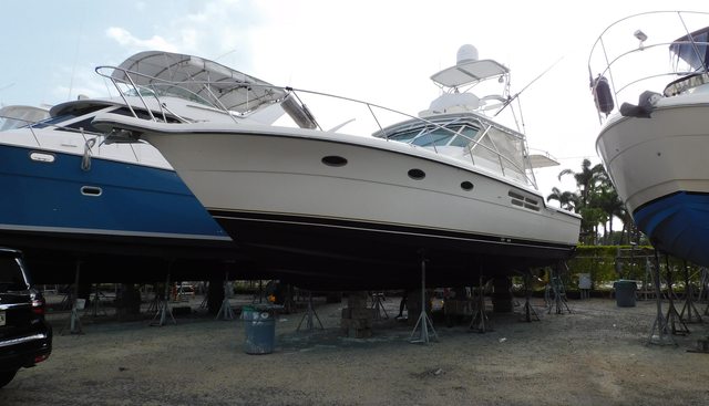 Mad Hatter yacht for sale 55