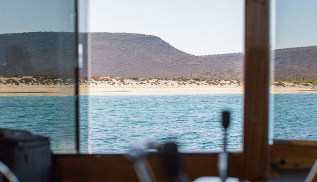 New School yacht for sale 18