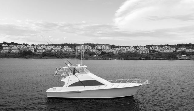 Gorilla Bowt yacht for sale 13