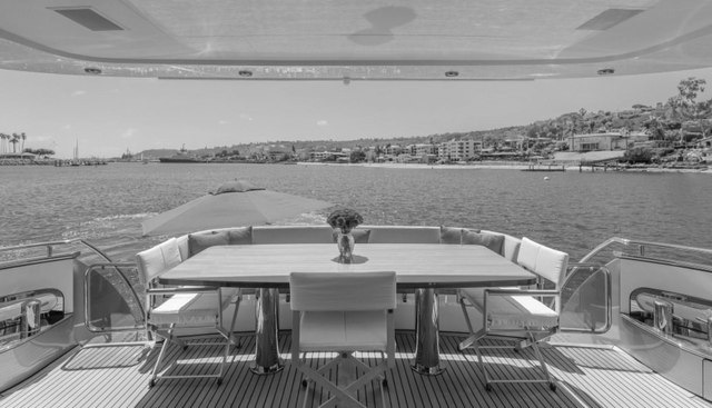 GYRFALCON yacht for sale 43