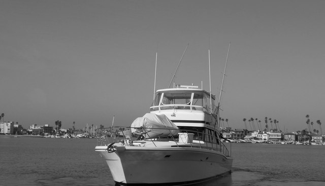 Yacht Z yacht for sale 14