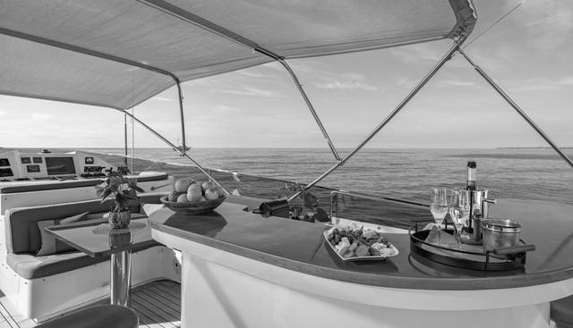 VIKING III yacht for sale 10