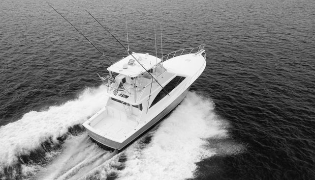 Gorilla Bowt yacht for sale 7