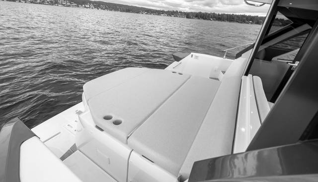 IN STOCK yacht for sale 43