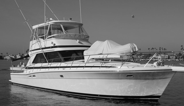 Yacht Z yacht for sale 17