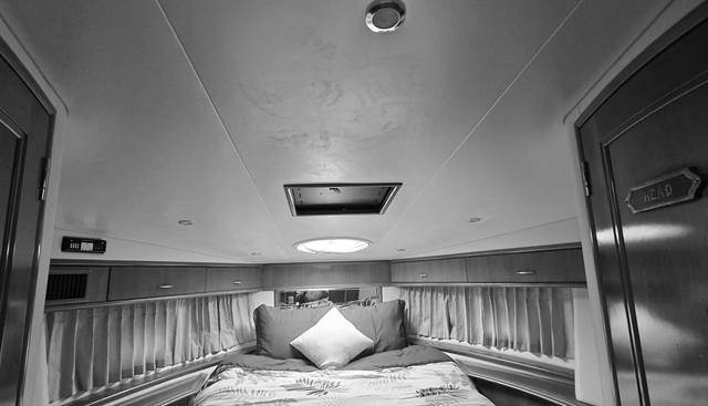 Live Now yacht for sale 33