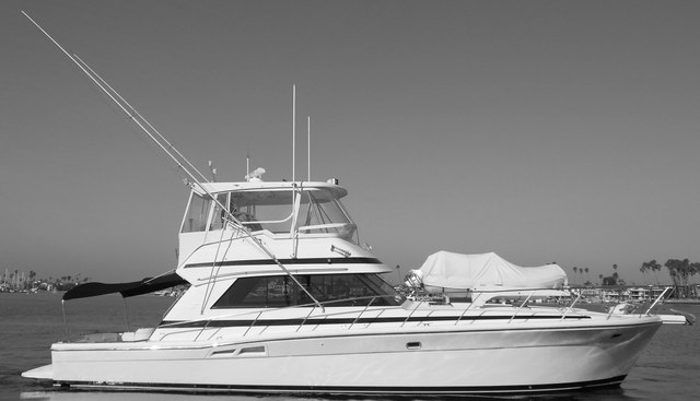 Yacht Z yacht for sale 24