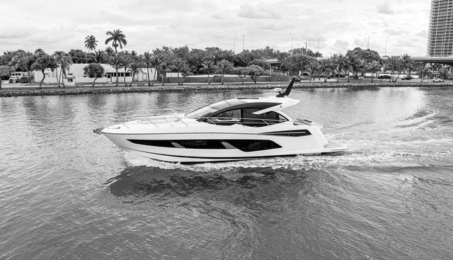 PREDATOR EVO yacht for sale 5