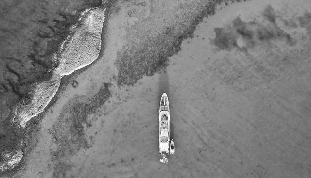 GENE MACHINE yacht for sale 32