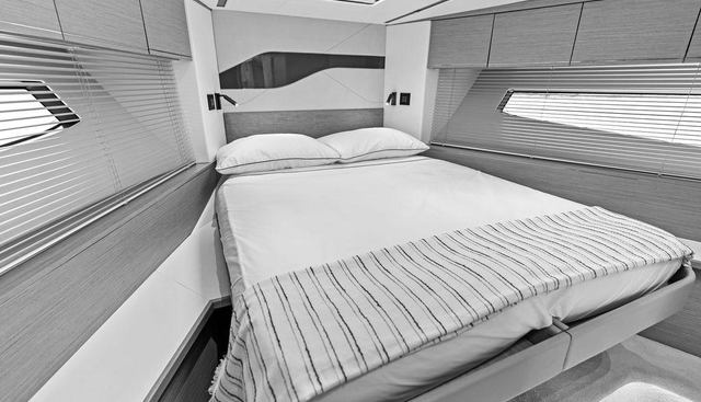 PREDATOR EVO yacht for sale 42