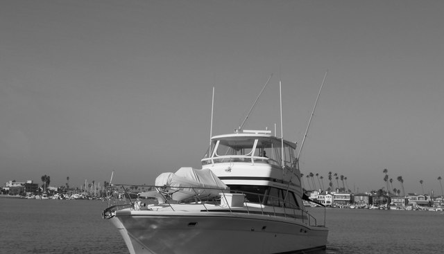 Yacht Z yacht for sale 13