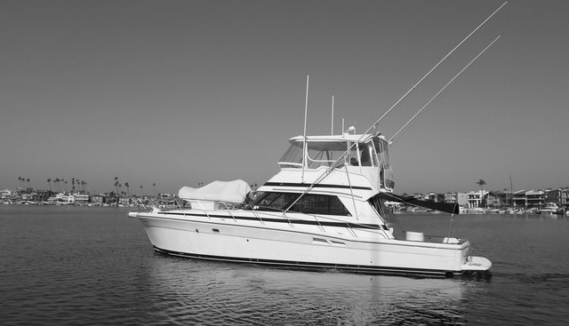 Yacht Z yacht for sale 7