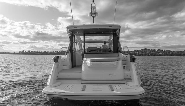 IN STOCK yacht for sale 7